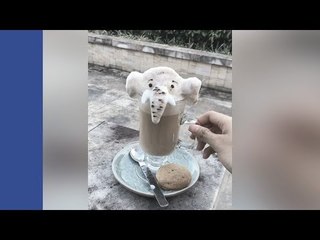 Comel! Tak Sampai Hati Nak Minum