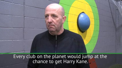 Kane could 'take the World Cup by storm' - McAllister
