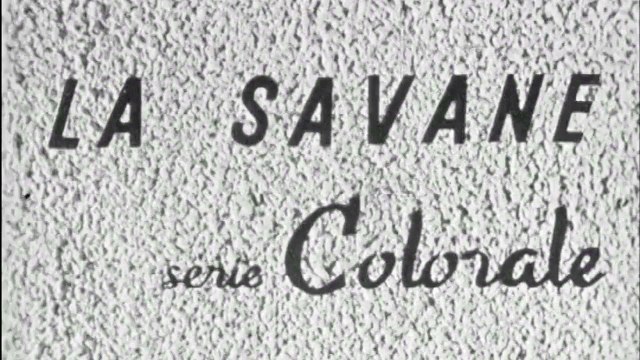 Renault Car Range 1959 - 1960