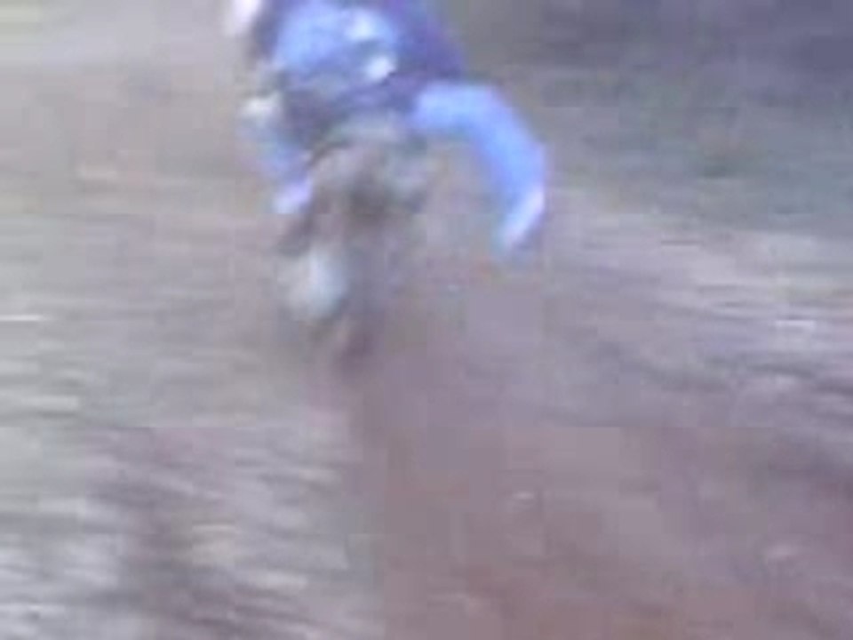 MOV00216