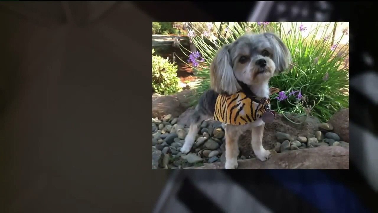 Burglary Suspects on Crime Spree with Baby in Tow Get Stopped by Retired Cop