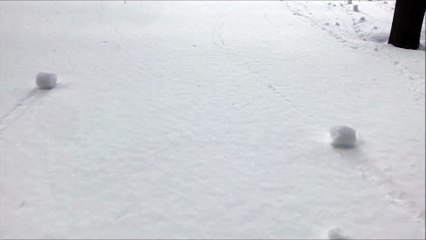 Un phénomène rare et mystérieux filmé à Ottawa... La neige s'enroule sur elle-même