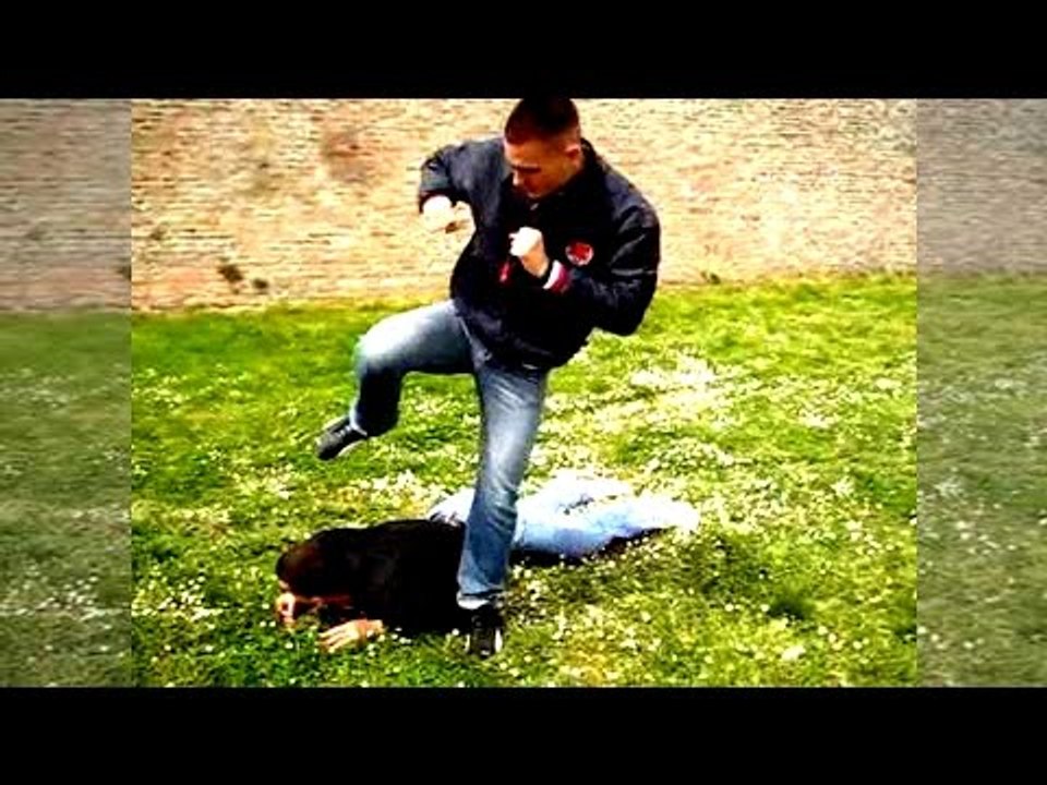 50 Knockouts in under 3 Minutes,Knockouts from MMA Boxing and The Streets