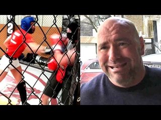 Conor McGregor hits like a truck Floyd will be surprised by his power,Al Iaquinta's Rage continues