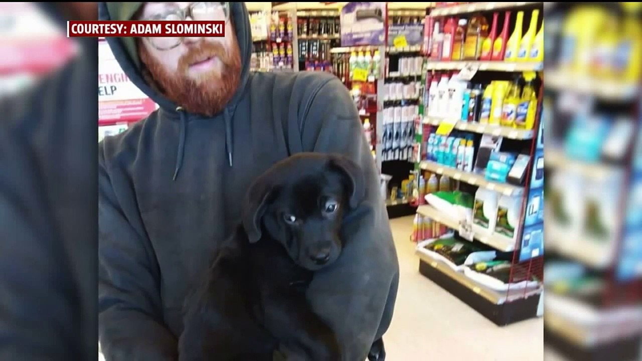 Maintenance Worker Rescues Puppy Found in Dumpster