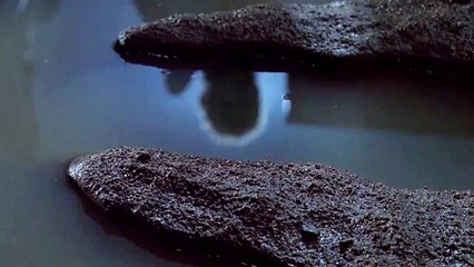 Beware. The All-New 2018 Jeep® Wrangler is coming.