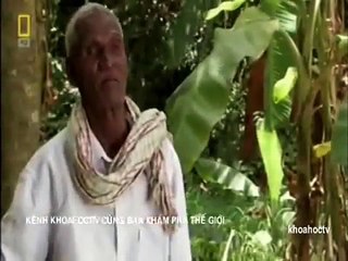 NHỮNG LOÀI VẬT NGUY HIỂM NHẤT Ở ẤN ĐỘ TẬP-2