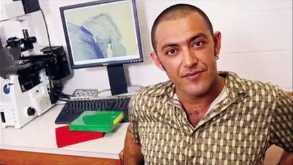 How Does Human Memory Work Documentary 2017