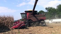 Corn Harvest 2016: Case IH 9240 Combine and 16 Row Corn Head