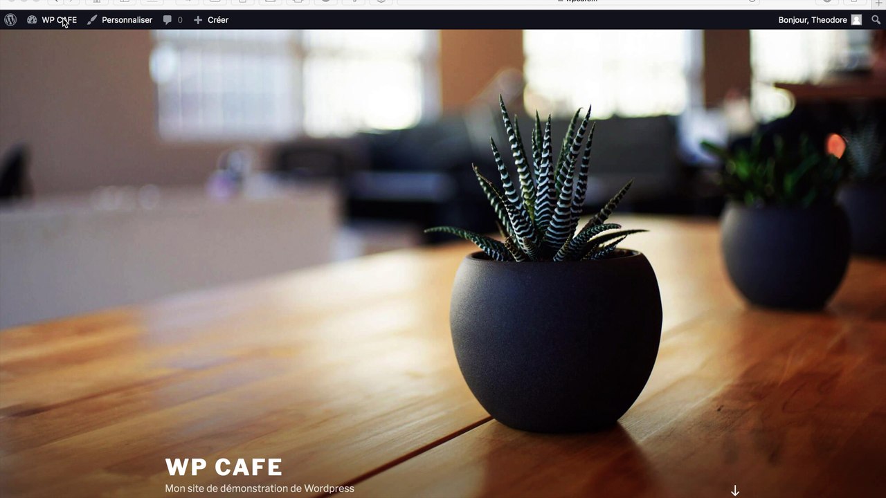 09 L'Editeur de WordPress