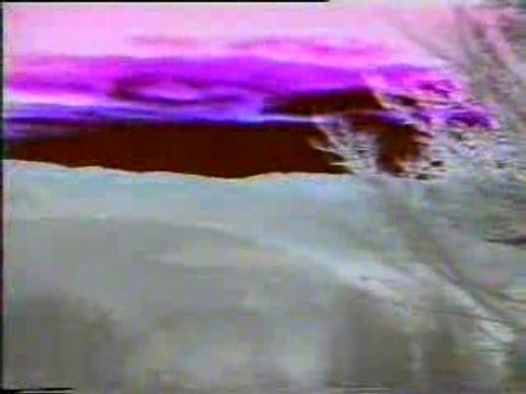 Vesna Zmijanac - Sto Zivota