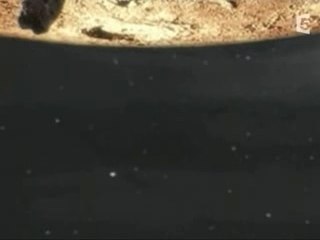 La lune et ses mysteres part2