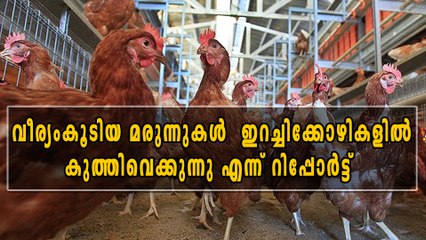 ഇറച്ചിക്കോഴികളിൽ കുത്തിവെക്കുന്നത് വീര്യം കൂടിയ മരുന്നുകൾ | Oneindia Malayalam