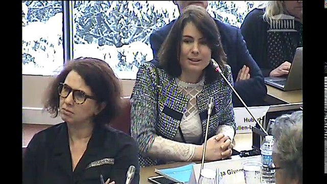 Commission des affaires étrangères : Examen de divers projets de loi de ratification de conventions - Mercredi 7 février 2018