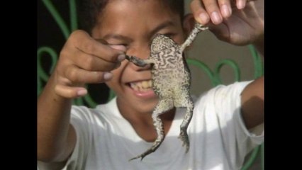PALAKA (虎斑蛙): Filipino Kids Scare a Japanese Girl