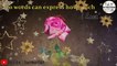 7 Fabruary Happy Rose Day Valentines Day Special Whatsapp status video new Latest 2018