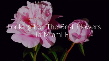 Call @ 786-422-5849 For Best Flowers in Miami FL