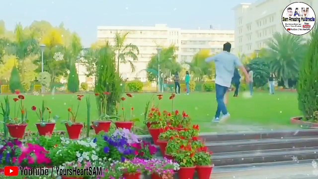 L For Love Story WhatsApp status Dill Diyan Gallan Song Tiger zinda hai Proposing WhatsApp Status