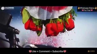 Rose Day Special  Whatsapp Status Videos 2018