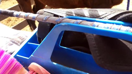 BOYFRIEND TACKS UP MY HORSE