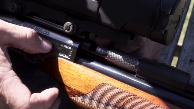 Big Bore 50 Caliber Air Rifle Hunt for Wild Boar