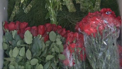 Sevgililer Günü İçin 1 Milyon Çiçek