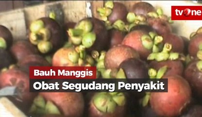 Buah Manggis, Obat Segudang Penyakit