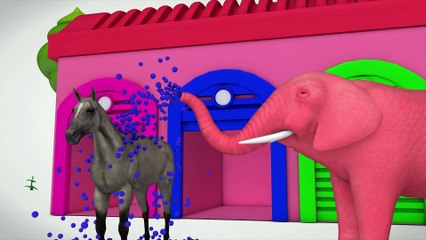 Learn Shapes Elephant & Learn Color Ball Horse W Cartoon Nursery Rhymes For Children