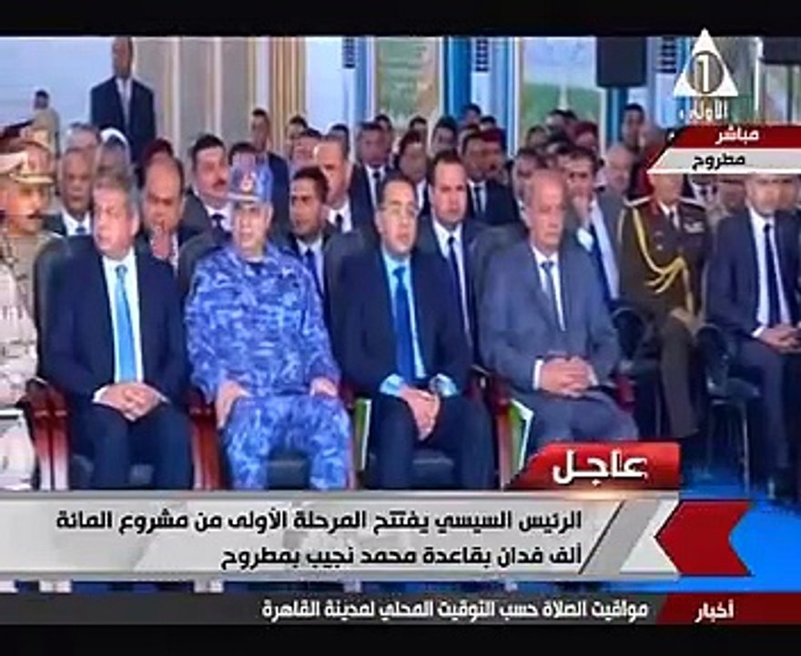 وزير الزراعة: نستهدف زراعة 2 مليون فدان قمح بمنظومة التقاوى الجديدة