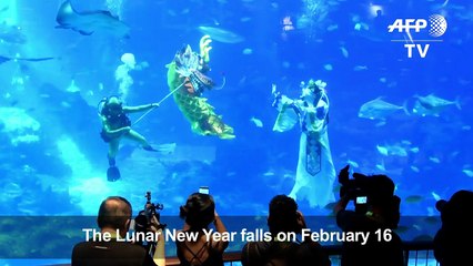 Underwater Lunar New Year celebration in Singapore