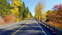 4K Scenic Drive Video with Soothing Music - Autumn Road -Trailer