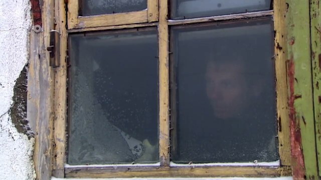 In Isolation With Polar Bears [Polar Bear Documentary] | Wild Things