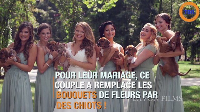A leur mariage, ils ont remplacé les traditionnels bouquets de fleurs par ... Des chiots !