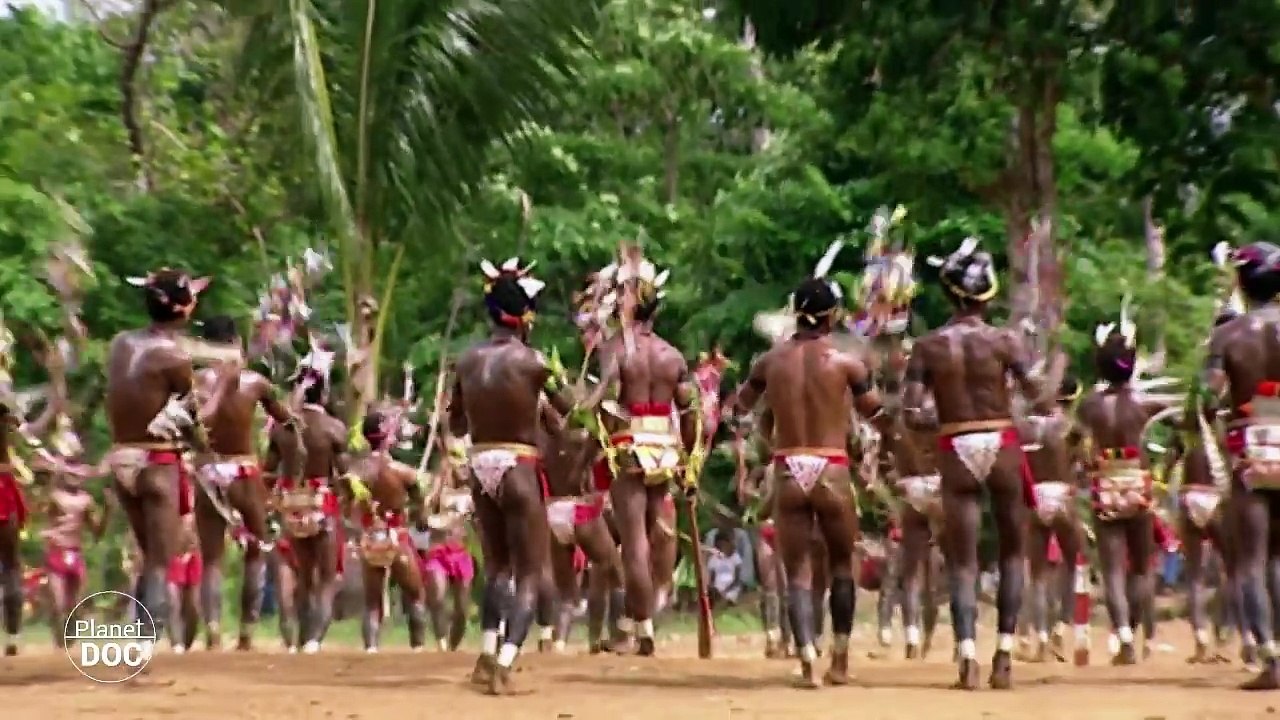 Full Documentary | Communication Between Species
