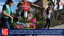 A Girl Scout Sells Boxes of Cookies Outside Weed Dispensary