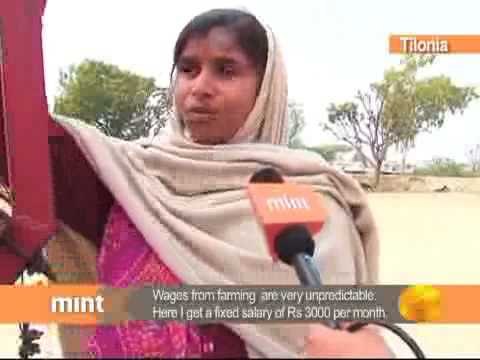 Tilonia model goes international