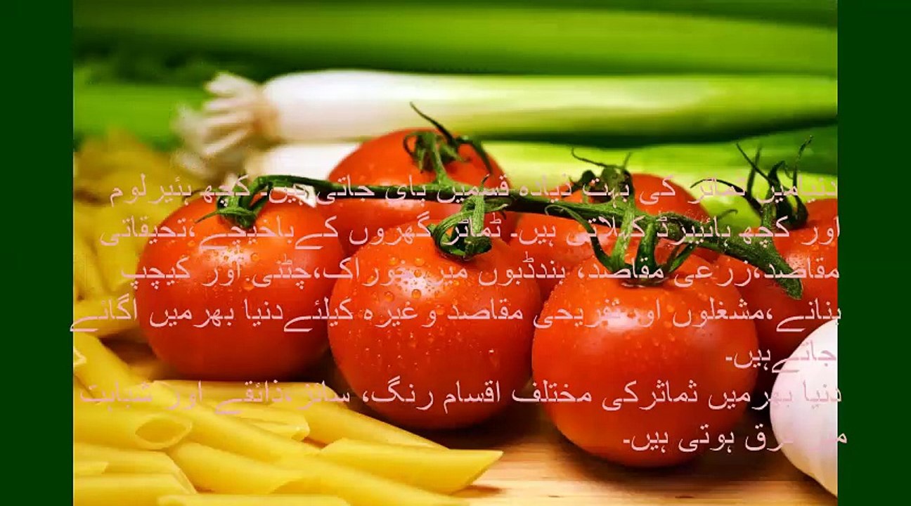 Growing tomato plants (Urdu) Part one video Dailymotion