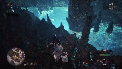 モンスターハンター：ワールド　ゴワゴワクイナ