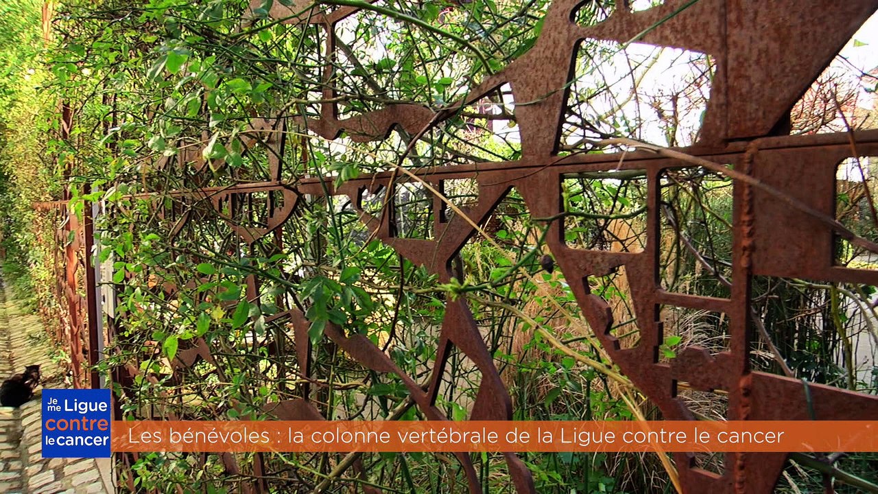 Ligue contre le cancer : les bénévoles