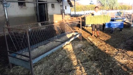 Aksaray’da üreticiler ‘kendi işinin patronu ol’ projesine hazırlanıyor