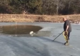 Dog Latches Onto Rope With Its Teeth to Get Free of Frozen Lake