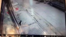 Gato malvado provoca queda a homem com apenas um toque na perna