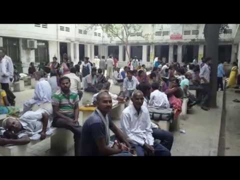 Dengue Patients in Kanpur Hospitals