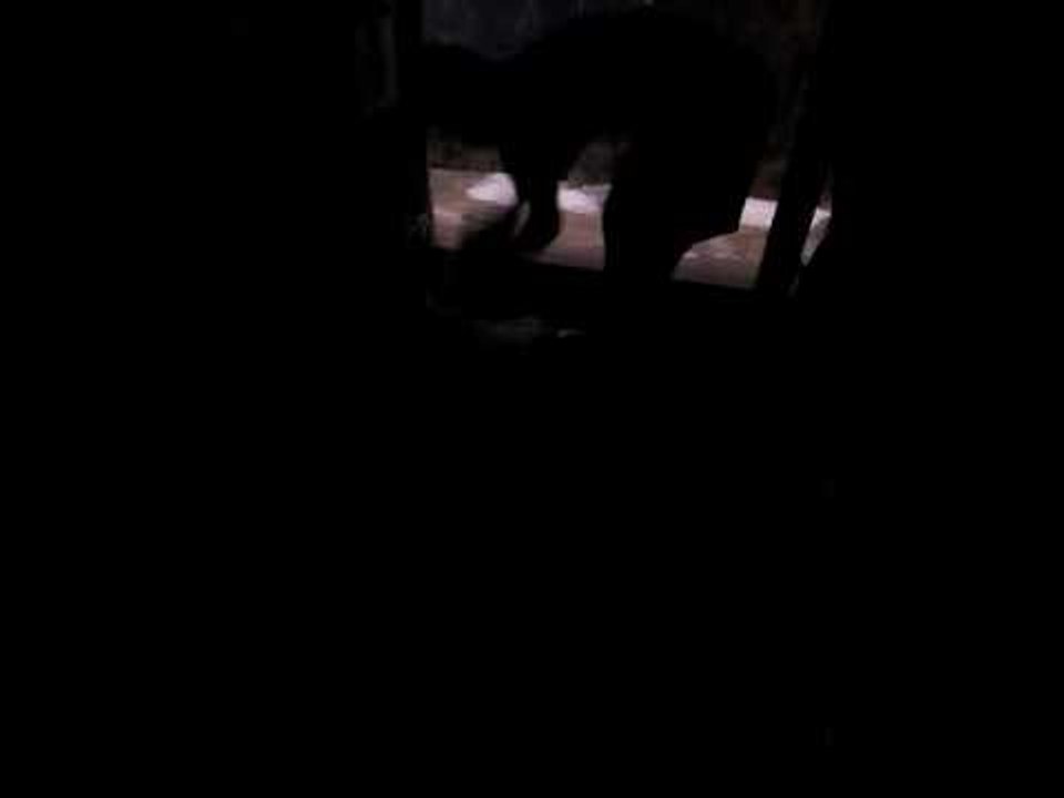 12 hours continuous rainfall in the city of Bodh gaya