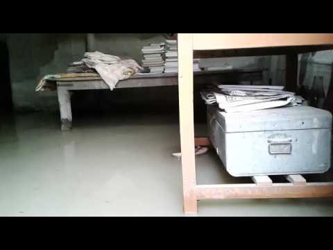 Bihar: Madhipura submerged, water, water everywhere