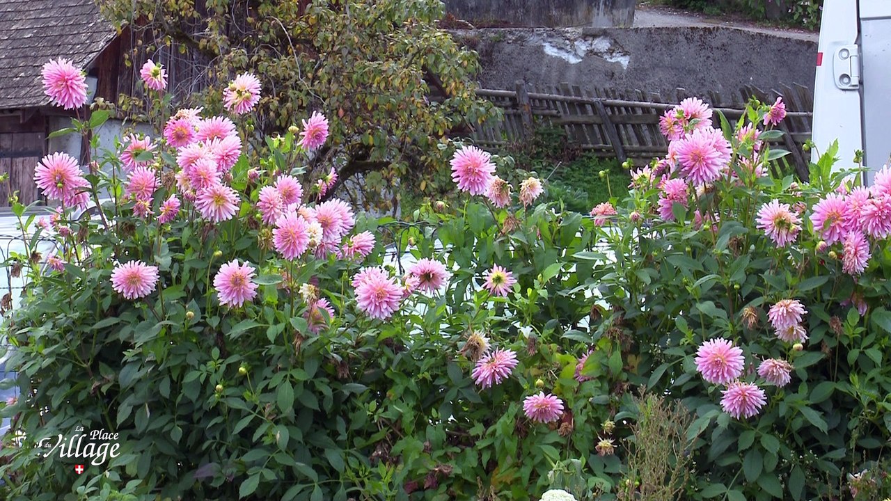 La Place du Village [S.1][E.100] - S1:E 100 - La Chapelle-Saint Maurice Bassin Annécien