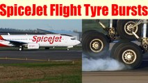 SpiceJet flight Suffers Tyre Burst, Chennai Airport Closed Till 6pm | OneIndia News
