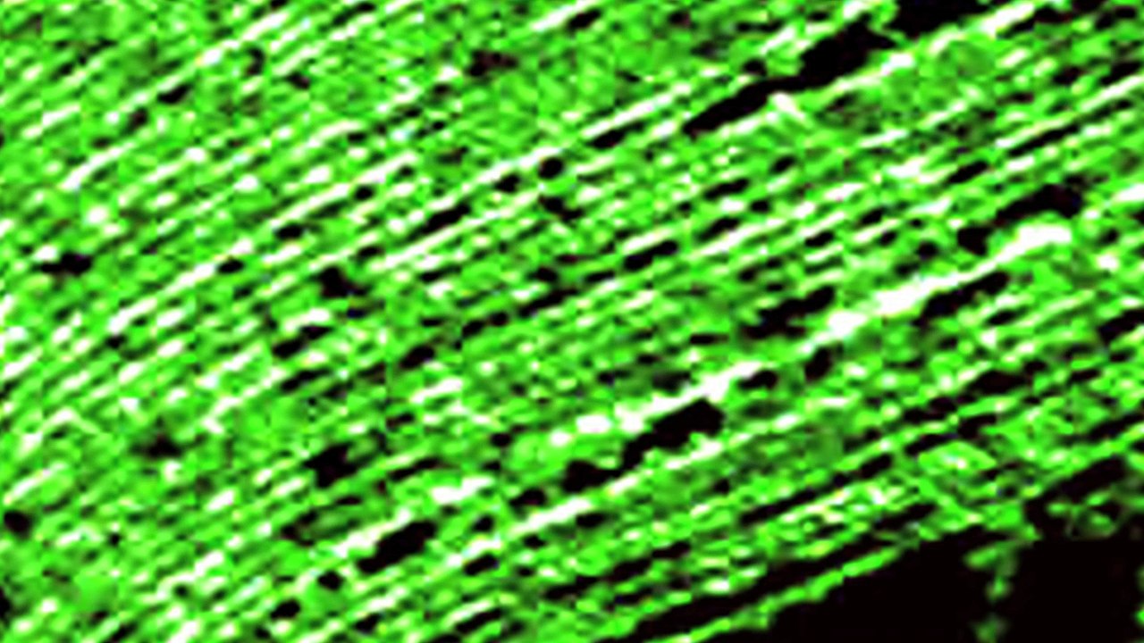 Nanotubes de carbone