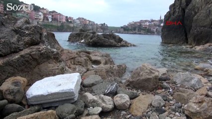 Tarihi eserler karaya vurdu