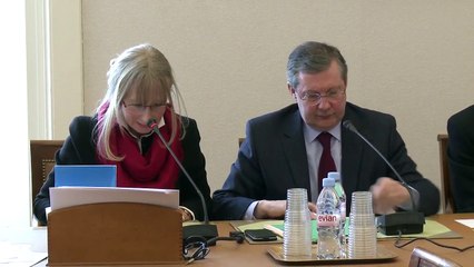 Marie Mercier - Groupe de travail sur les infractions sexuelles sur mineurs